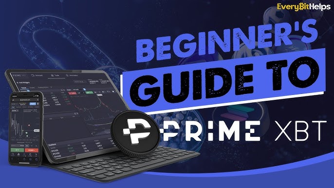 Everything You Need to Know About the App PrimeXBT PH